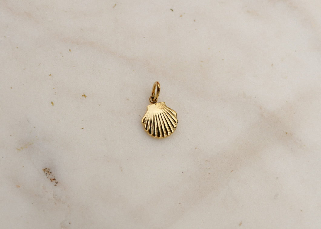 schelp bedeltje 🐚