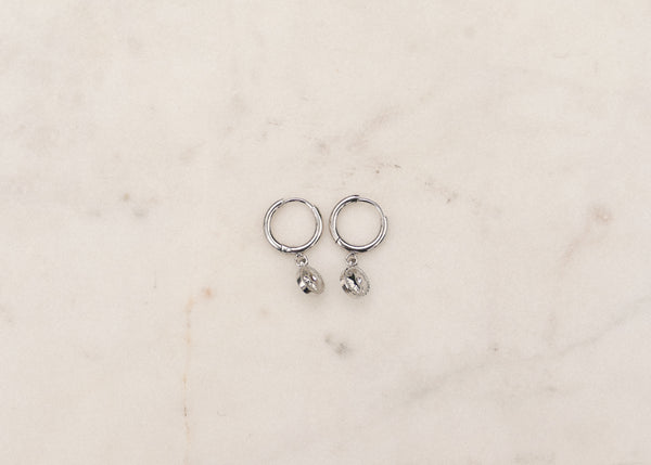 zilverkleurige oorringen met muntjes | stainless steel