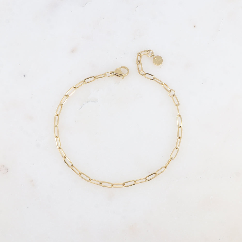 fijn goudkleurig schakel armbandje van stainless steel