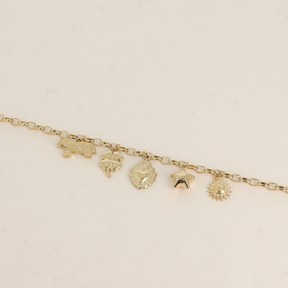 goudkleurig schakelcollier met 🦙 🌞 🍀 ✨ 💗 stainless steel