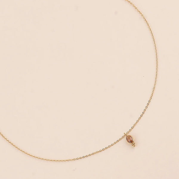 fijn goudkleurig collier met bruin hangertje | stainless steel