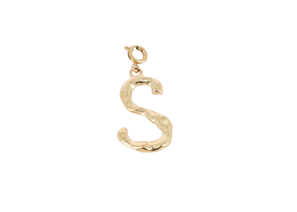 S letter bedel goudkleurig stainless steel groot