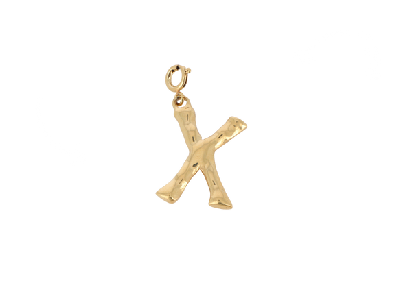 X letter bedel goudkleurig stainless steel groot