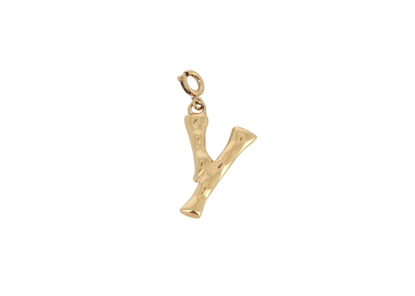 Y letter bedel goudkleurig stainless steel groot