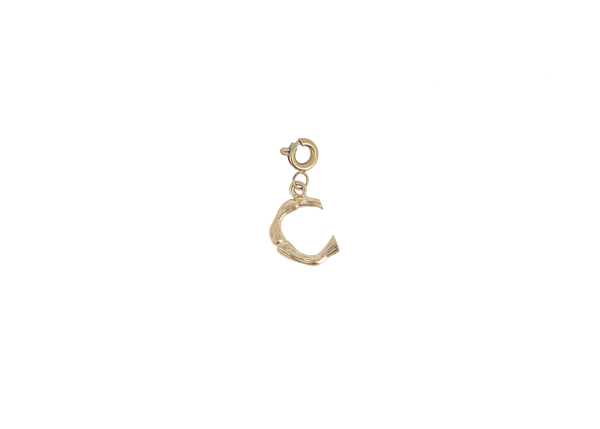 C letter bedel goudkleurig stainless steel klein