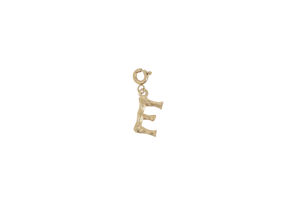 E letter bedel goudkleurig stainless steel klein