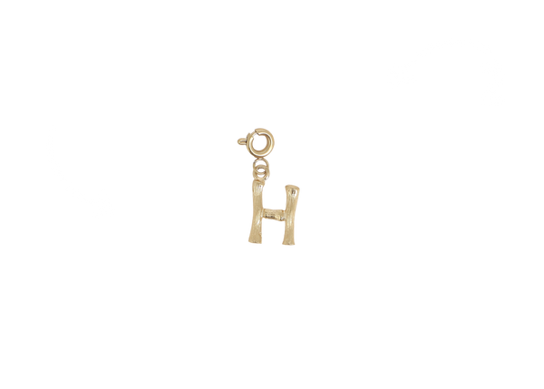 H letter bedel goudkleurig stainless steel klein