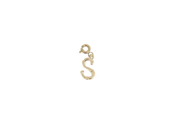 S letter bedel goudkleurig stainless steel klein