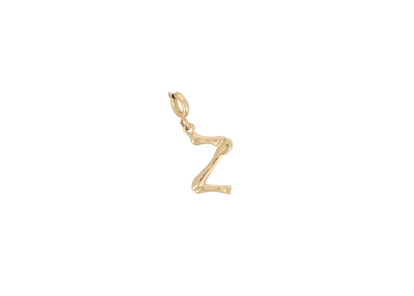Z letter bedel goudkleurig stainless steel klein