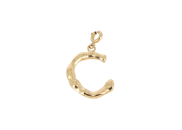 C letter bedel goudkleurig stainless steel groot