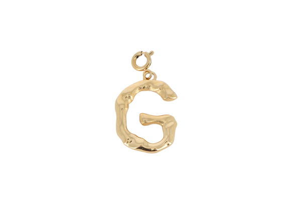 G letter bedel goudkleurig stainless steel groot