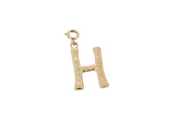 H letter bedel goudkleurig stainless steel groot