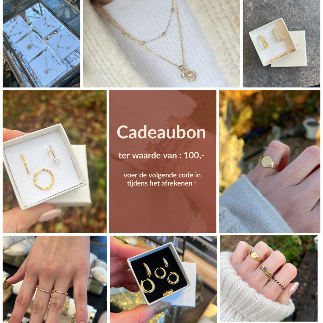 Cadeaubon van €100,-