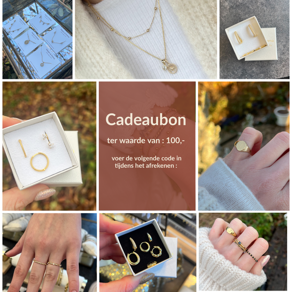 Cadeaubon van €100,-