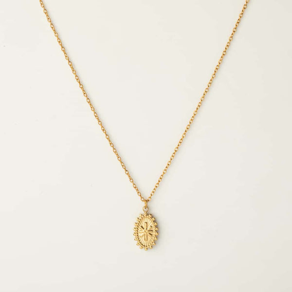 fijn goudkleurig collier met ovaal hangertje | stainless steel